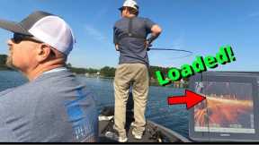 Badin lake BASS FISHING tournament with TATER HOG…(glide bait fishing) (livescope footage)