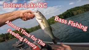 Belews Lake NC Bass Fishing 6-10-2023