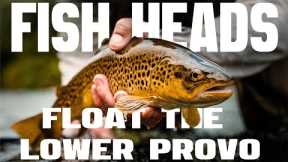 Fly Fishing the Lower Provo River In A Flycraft: Utah's Trout Paradise With Fish Heads Fly Shop