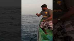 Catching 15 Kg Tuna Fish in the Deep Sea #fish #fishing #fishingvideo