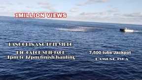 Full Video | Fishing Vessel Big Catch Skipjack Tuna | 7,500 Tubs 1 Setting Start 4pm to 12;06
