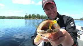 Rainy Lake Walleye Fishing in Shallow Water w/ In Depth Outdoors TV S6 E9