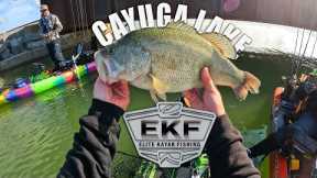 Cayuga Lake Bass Fishing EKF Tournament (GIANT BASS)
