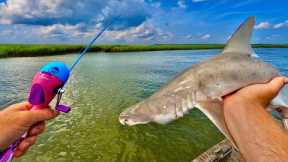 CHALLENGE- Can we catch SHARKS on Kiddie Rods!?? {Catch n’ Cook}