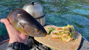 VEGETARIAN FISH!? Catch & Cook (Spearfishing) Volcanic Island