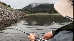 Lake Hodges: FISHING ON FIRE!!!