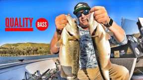 Fishing for Big Spring Time Bass-Castaic Lake