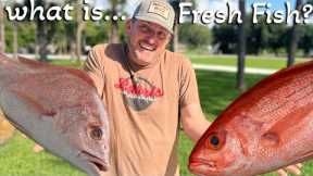 What is Fresh Fish? {Catch Clean Cook} How Long Does Seafood stay Fresh?