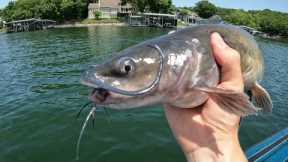 Catfish Fishing | Lake of the Ozarks