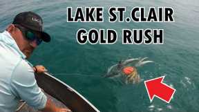 WE FOUND GOLD FISHING LAKE ST.CLAIR - INSANE FISH BITE!!!