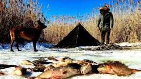 Ice Fishing - Carp Fishing in Frozen Lake, Winter Camping with My Dog, Nature Documentary, Asmr