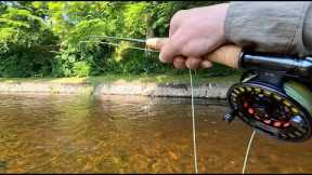 Fly Fishing in a Scottish Heatwave with Davie McPhail