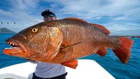 6 Days at SEA for Once in Lifetime Catch! GIANT Cubera Snapper (Catch Clean Cook)