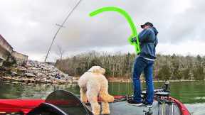 Fishing EARLY SPRING For Bass on Lake Guntersville! (LAKE IS LOW!)