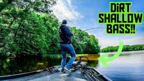 SMALL LAKE is LOADED With AGGRESSIVE BASS!! || Topwater Fishing
