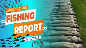Lake St. Clair Fishing Report 6/14/2023