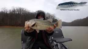 Bass Fishing with Livescope on Dale Hollow Lake