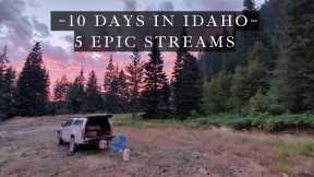 Fly Fishing Idaho - 10 days off the grid - 5 amazing streams!