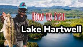 5 Ways To Catch Fish on Lake Hartwell