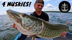 Musky fishing July 2023! (Leech Lake)