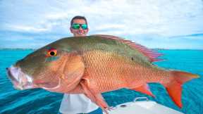 The SECRET to Catching GIANT Snapper... Catch Clean Cook (Mutton Snapper)