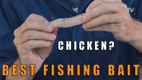 BEST FISHING BAIT | Fishing with Chicken? | CoastFishTV Tackle Chat S02E05