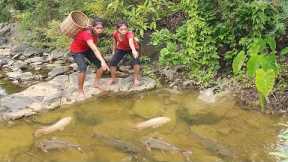 Adventure in forest: Catch fish by hand to cook for survival - Fish soup tasty Eating with sister