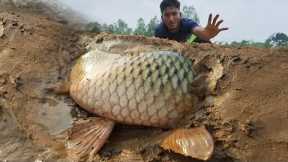 Wow Really Smart Hand Fishing In River Dry Place Underground Fish Catching
