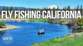 Fishing California's Largest Spring Creek (for Prehistoric Rainbow Trout)
