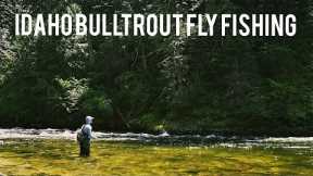 Fishing for one of Idaho's most ELUSIVE fish | Bull Trout Fly-Fishing