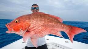 Florida's MOST Controversial Fish... Catch and Cook  (Red Snapper)