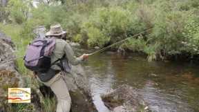 Ever wanted to see a professional Fly Fisherman work a stream...