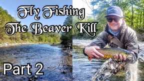 Catskills Fly Fishing The Beaver Kill Part 2