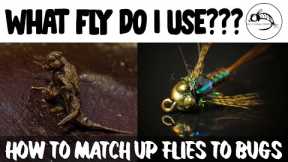 Fly Fishing Entomology 101: How To Decide Which Fly Pattern To Use