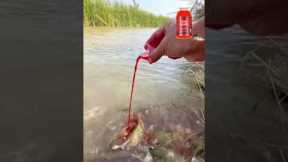 The Power of Fish Attractants: Concentrated Red Worm Liquid #fishing #fishingvideo #fishingshorts
