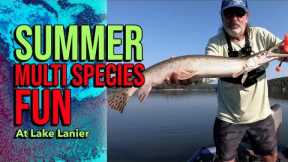 Summer Multi Species Fun At Lake Lanier #lakelanierfishing2023  #fishing