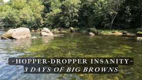 The BIG BROWNS were crushing the Hopper-Dropper Rig - 3 days of Insane Fly Fishing!
