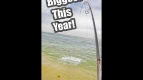 How I Caught My BIGGEST Fish!! fishing saltwater bluefish