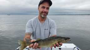 Oneida Lake fishing report | June 24, 2023 | From BLOWNEIDA to glass overnight.