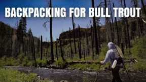 SOLO Backpacking and Fishing Adventure for BULL TROUT
