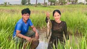 Catch Fish On The Paddy Field Cook Bok-Krasang Fish {Catch Clean & Cook}