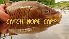 Tips For Catching Carp On The Fly - Carp Fly Fishing For Beginners - The Fly Guy