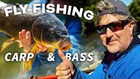Fly Fishing Dead Drifting for Bass and Carp?! This is a first...