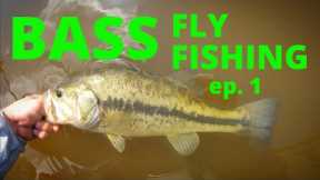 BASS FLY FISHING ep.1 (how to)