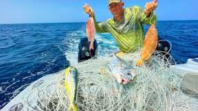 This Giant Bundle of Line was a Killing Machine! {Catch Clean Cook} Old Bahama Bay, The Bahamas!