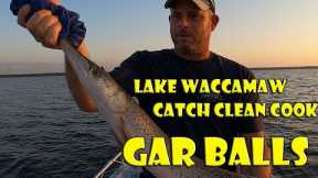 Lake Waccamaw Longnose Gar Fishing (Catch Clean Cook)