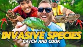 VICIOUS INVASIVE Fish CATCH CLEAN COOK! ( Taste Test )