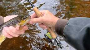 Fly Fishing for Brown Trout with Davie McPhail