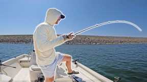 Drift Fishing with Cut Bait for Deep Summer Catfish