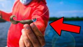 This is The EASIEST Way to Catch a TON of Saltwater Fish